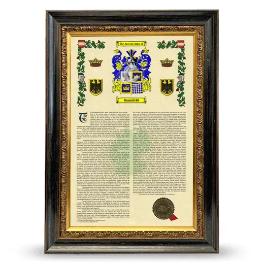 Braunfeld Armorial History Framed - Heirloom
