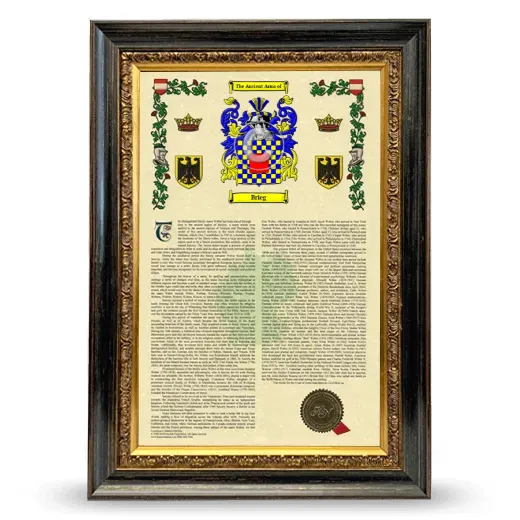 Brieg Armorial History Framed - Heirloom