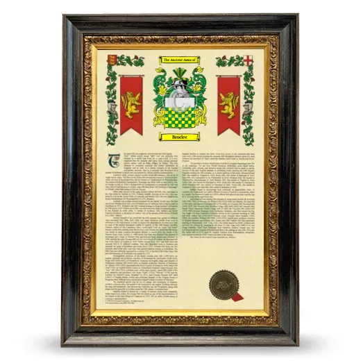 Broclee Armorial History Framed - Heirloom
