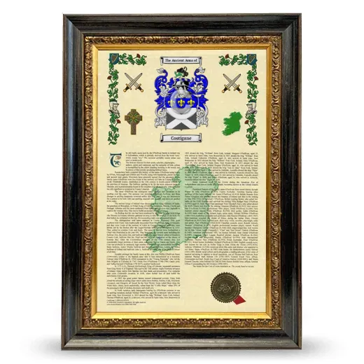 Costigane Armorial History Framed - Heirloom