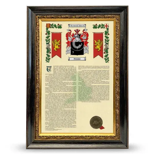 Damms Armorial History Framed - Heirloom