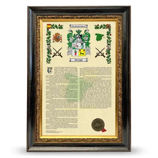 Del tagle Armorial History Framed - Heirloom