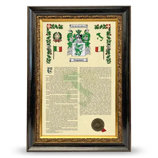 Dragomani Armorial History Framed - Heirloom