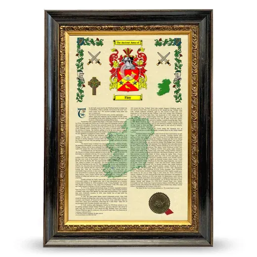 Finy Armorial History Framed - Heirloom