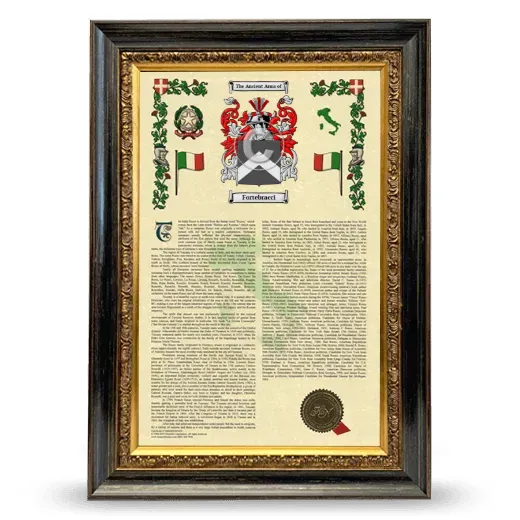 Fortebracci Armorial History Framed - Heirloom