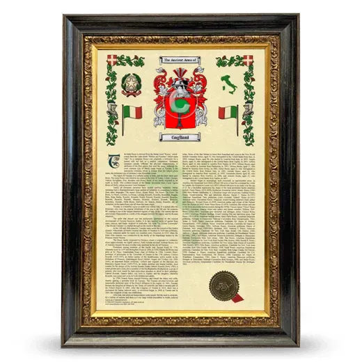 Gagliani Armorial History Framed - Heirloom