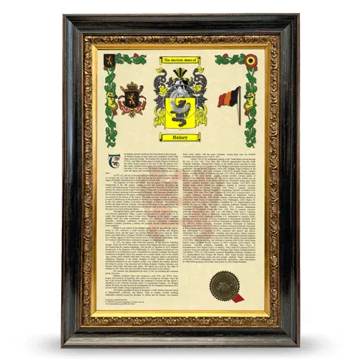 Hainey Armorial History Framed - Heirloom