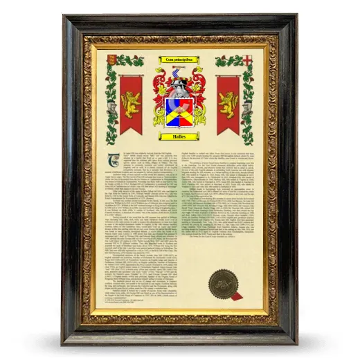 Halles Armorial History Framed - Heirloom
