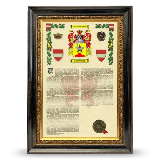 Hochenburg Armorial History Framed - Heirloom