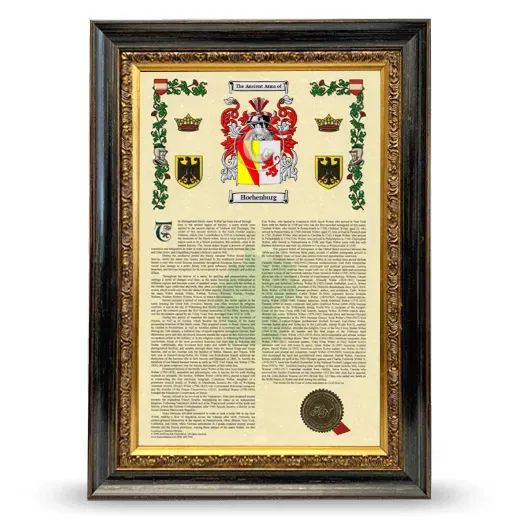Hochenburg Armorial History Framed - Heirloom