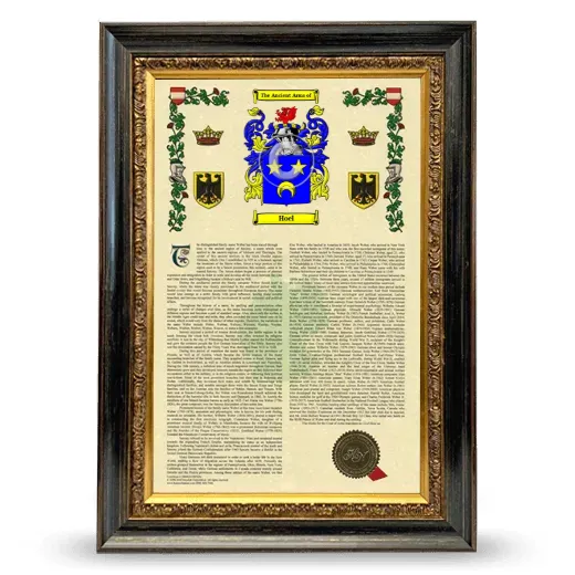 Hoel Armorial History Framed - Heirloom
