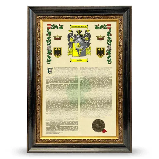 Hohls Armorial History Framed - Heirloom