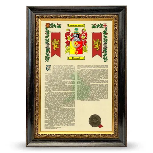 Holyoach Armorial History Framed - Heirloom