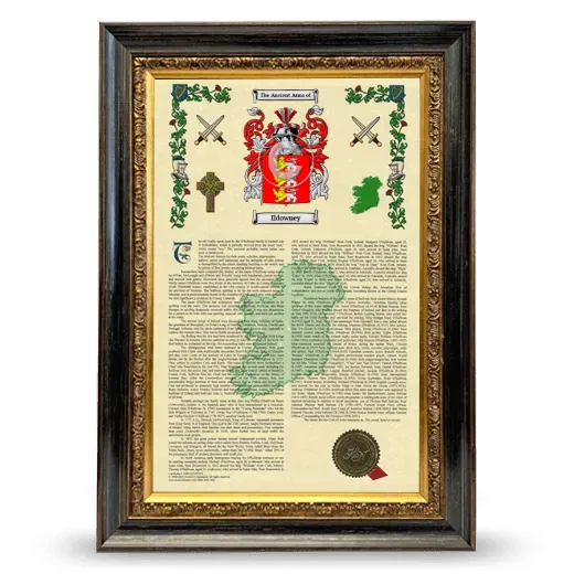 Ildowney Armorial History Framed - Heirloom