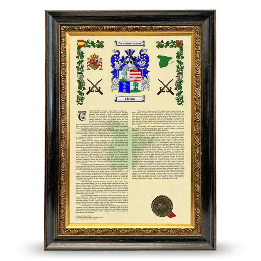 Llama Armorial History Framed - Heirloom