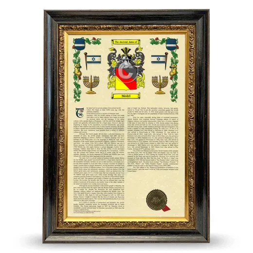 Medel Armorial History Framed - Heirloom