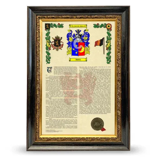Noves Armorial History Framed - Heirloom