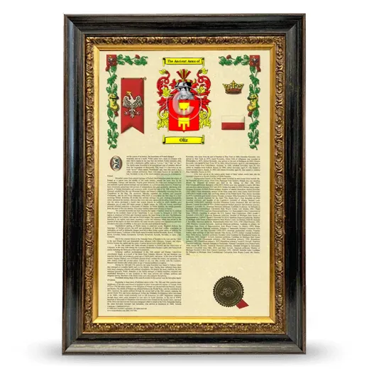 Oliz Armorial History Framed - Heirloom