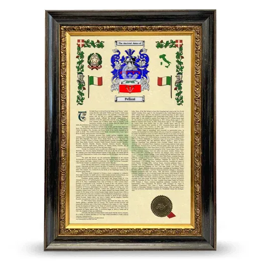 Pellani Armorial History Framed - Heirloom
