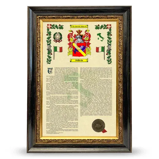 Pelliccia Armorial History Framed - Heirloom