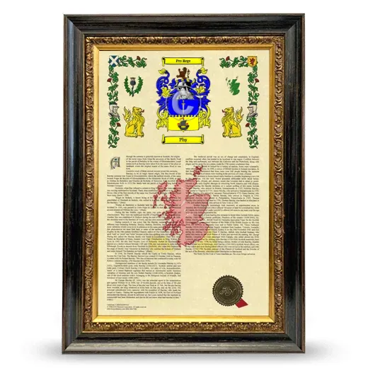 Phy Armorial History Framed - Heirloom