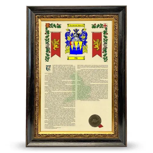Pile Armorial History Framed - Heirloom