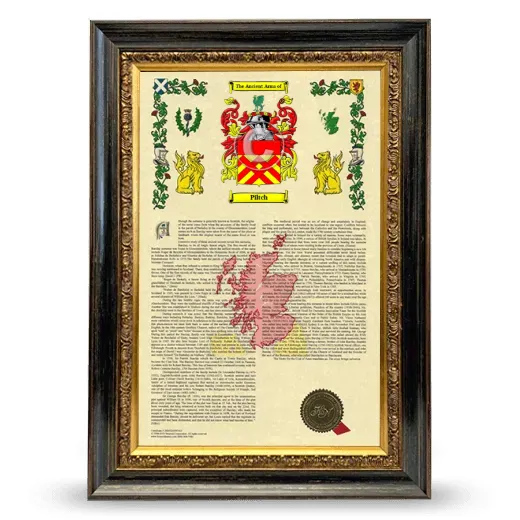 Piltch Armorial History Framed - Heirloom