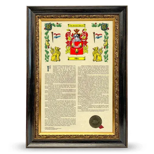 Piltz Armorial History Framed - Heirloom