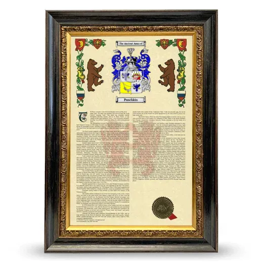 Puschkin Armorial History Framed - Heirloom