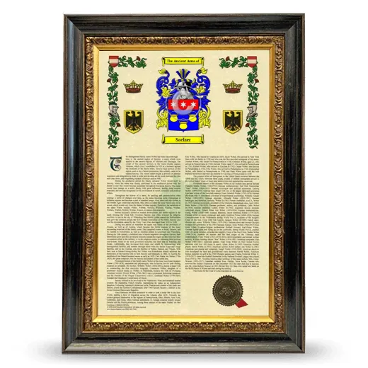 Saelzer Armorial History Framed - Heirloom