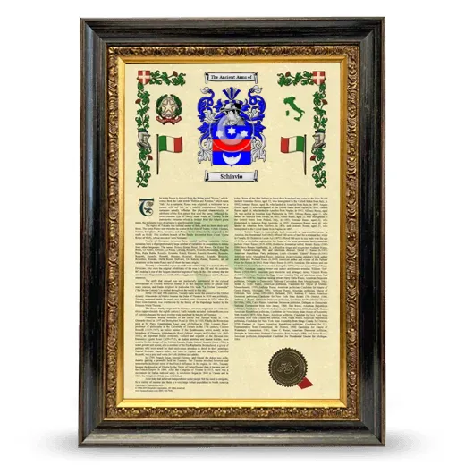 Schiavio Armorial History Framed - Heirloom