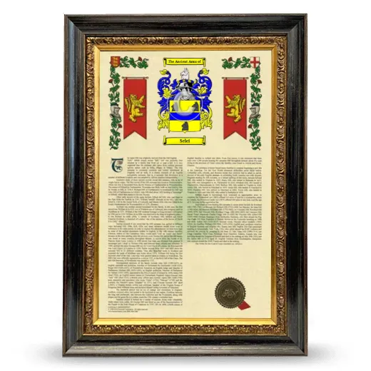 Selei Armorial History Framed - Heirloom