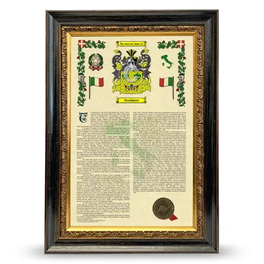 Seminaro Armorial History Framed - Heirloom