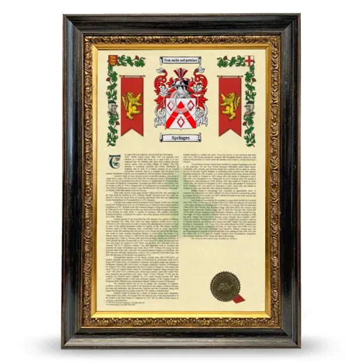 Springes Armorial History Framed - Heirloom