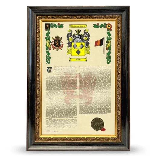 Stahr Armorial History Framed - Heirloom