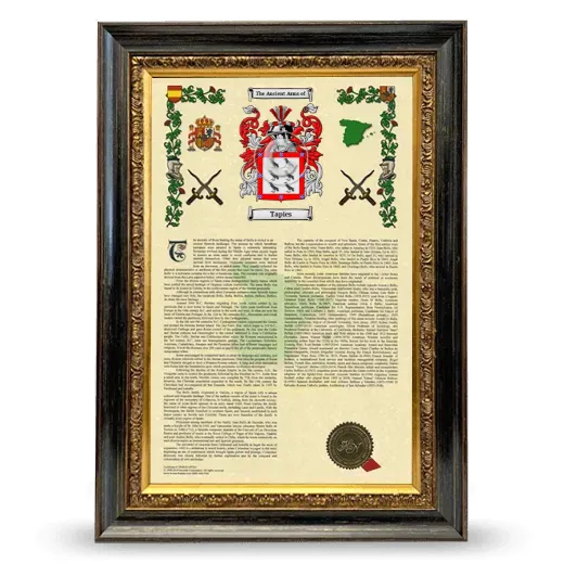 Tapies Armorial History Framed - Heirloom