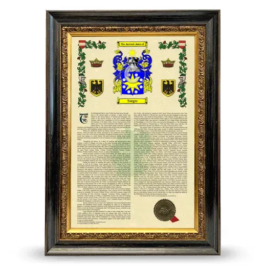 Teeger Armorial History Framed - Heirloom