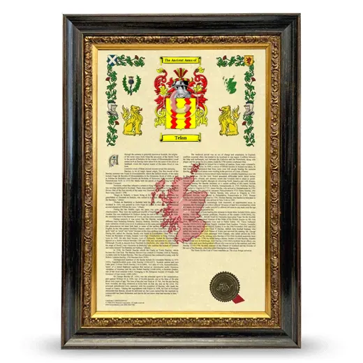 Telan Armorial History Framed - Heirloom