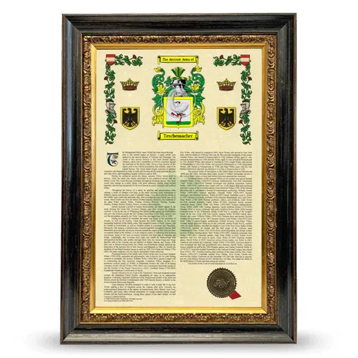 Teschemacher Armorial History Framed - Heirloom