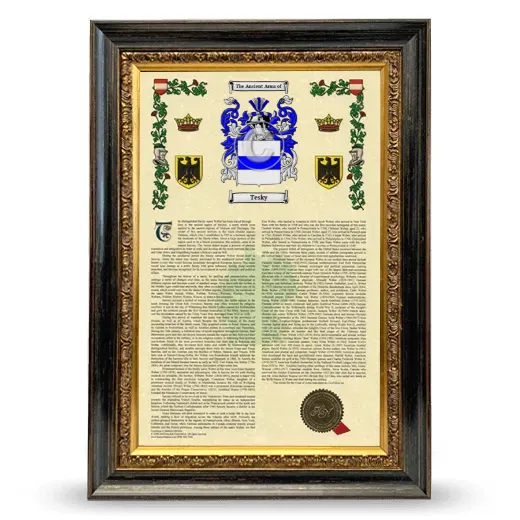 Tesky Armorial History Framed - Heirloom
