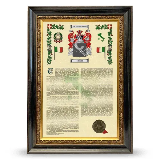 Tofano Armorial History Framed - Heirloom