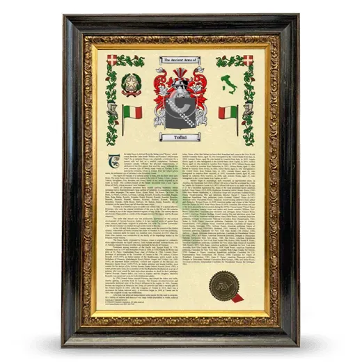 Tofini Armorial History Framed - Heirloom