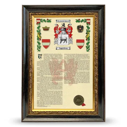 Toggenburg Armorial History Framed - Heirloom