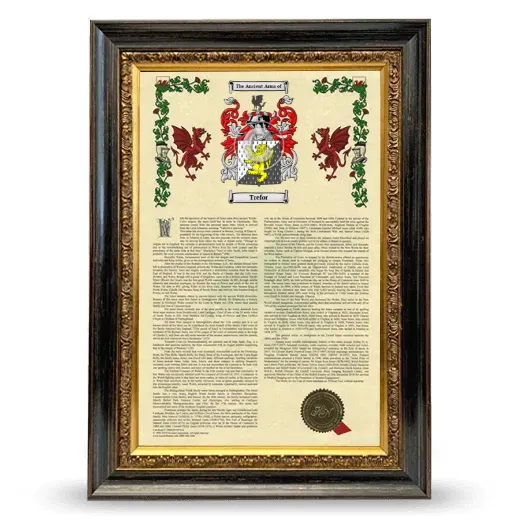 Trefor Armorial History Framed - Heirloom