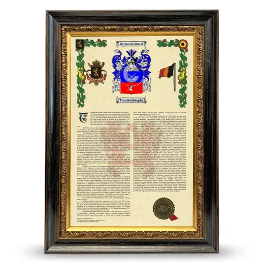 Troostenberghe Armorial History Framed - Heirloom