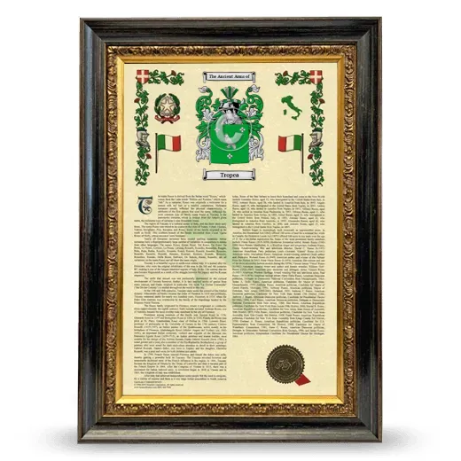 Tropea Armorial History Framed - Heirloom