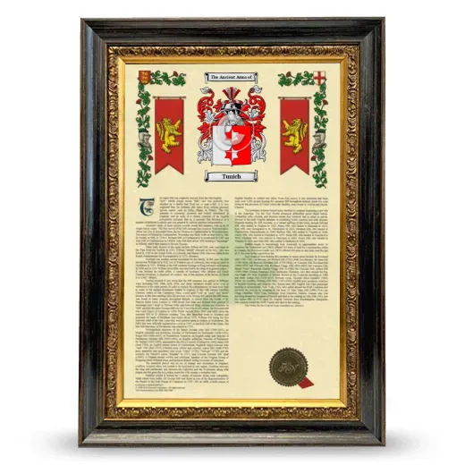 Tunich Armorial History Framed - Heirloom