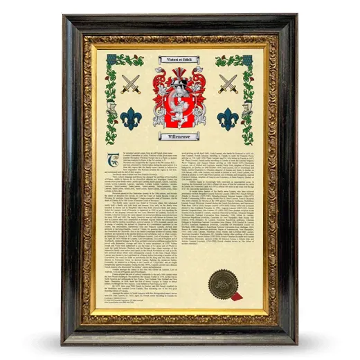 Villeneuve Armorial History Framed - Heirloom