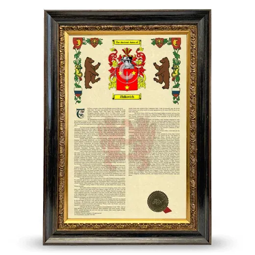 Zhikovich Armorial History Framed - Heirloom