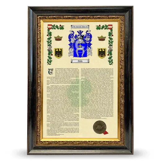 Ziola Armorial History Framed - Heirloom